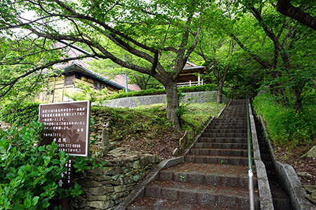 数百年前 古木 茶入 古竹 梳かし